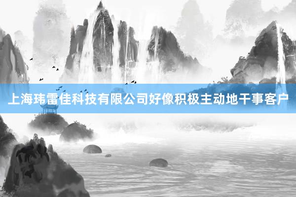 上海玮雷佳科技有限公司好像积极主动地干事客户