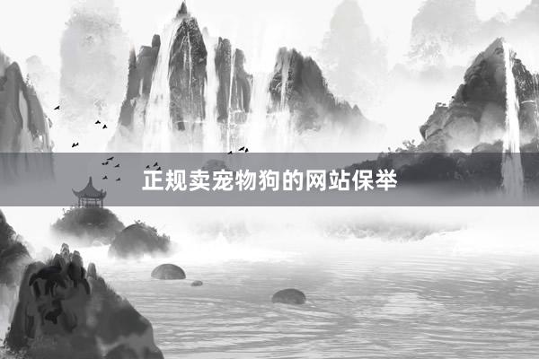 正规卖宠物狗的网站保举