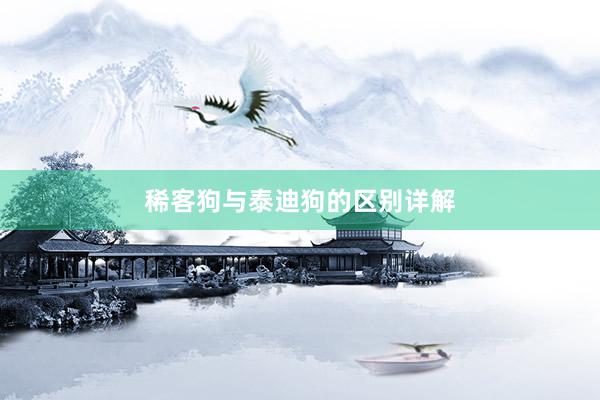 稀客狗与泰迪狗的区别详解