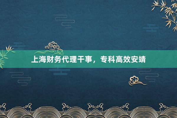 上海财务代理干事，专科高效安靖